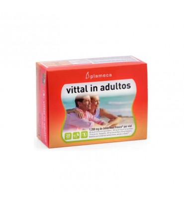 Vittal In Adultos Plameca