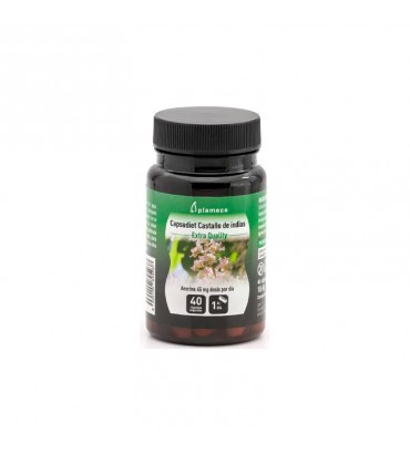 Capsudiet Castaño de Indias Plameca
