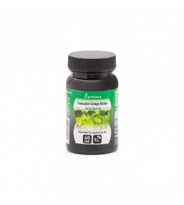 Capsudiet Ginkgo Biloba Plameca