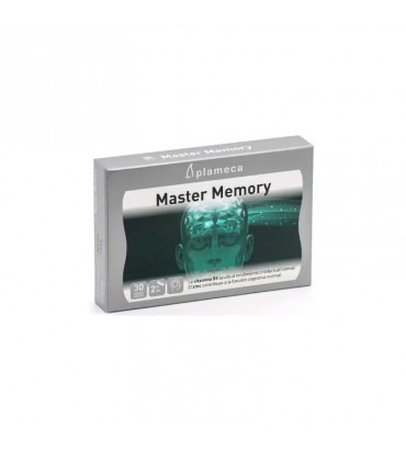 Master Memory Plameca